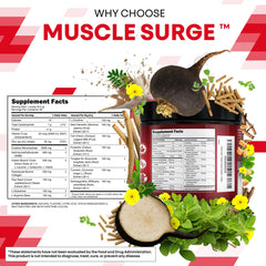 Close-up of Clean Nutra Creatine packaging and branding.