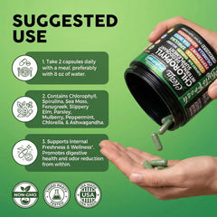 Clean Nutra Parsley mint greens close-up suggests refreshing flavor and detox theme