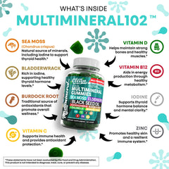 Clean Nutra Sea Moss Gummies closeup-texture – chewy gummies with green apple flavor.