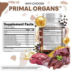 Clean Nutraceuticals grass-fed beef liver capsules pancreas focus on digestive enzyme diversity