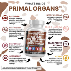 Clean Nutraceuticals grass-fed beef liver capsules spleen visual emphasizes immune-supporting components