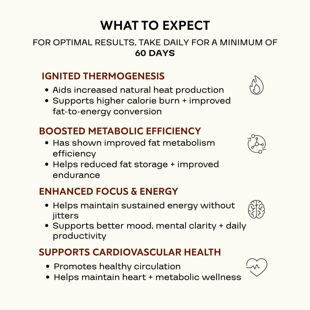 CLEVERPRO Heatwave with Theobromine enhances mood and focus during activities.