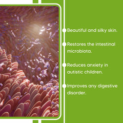 Packaging of Clinica Dr Vega probiotic designed for easy storage and daily use.