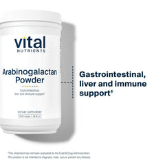 Close-up of Vital Nutrients Arabinogalactan powder texture for easy mixing.