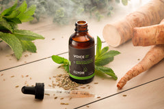 CLYOR Voice37 herbal blend illustration emphasizes natural ingredients.