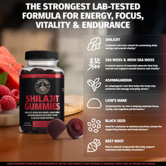 Coach Soak Shilajit Gummies on-the-go pack demonstrates portable daily wellness