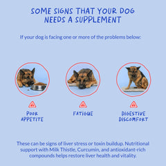 Coco and Luna Dog Kidney Support ingredients scene featuring choline and L-arginine.