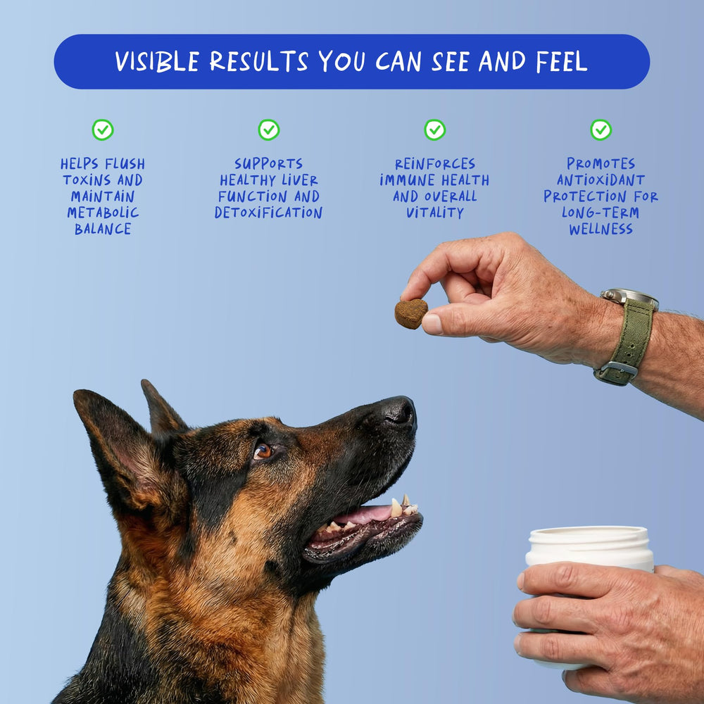 Coco and Luna Milk Thistle for Dogs bottle on counter for easy dog wellness.