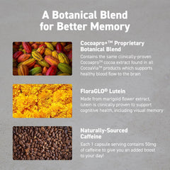 CocoaVia flavanol infographic explains Cocoapro+ and flavanols for clarity