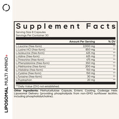 Codeage Multi Amino+ capsules close-up highlighting free-form amino acids for quick absorption.