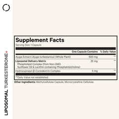 Codeage Turkesterone capsules close-up highlighting 500 mg potency for workouts.
