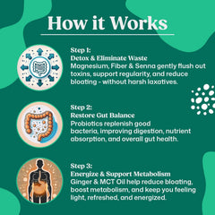 ColonBroom ginger root element highlighting bloating relief