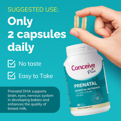 Conceive Plus Prenatal folic acid tablets shown, essential prenatal nutrient for early development.