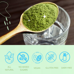 Consult Health Gut-Duction phyto-greens ingredients showcase vibrant antioxidant-rich nourishment.