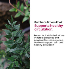 Contravaris product image featuring ruscus aculeatus ingredient for vein support.