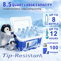 COOLER-TYU control panel shows real-time temperature display for precise settings.