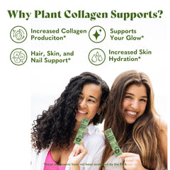 Copina Co. Matcha Beauty botanicals close-up shows biotin and tremella ingredients.