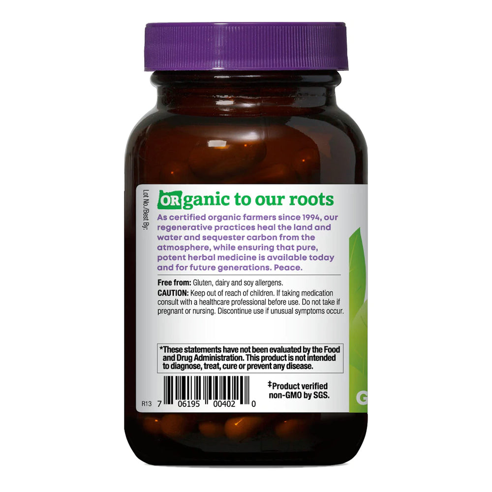 Closeup of Cordyceps capsules highlighting vegan formula for daily vitality
