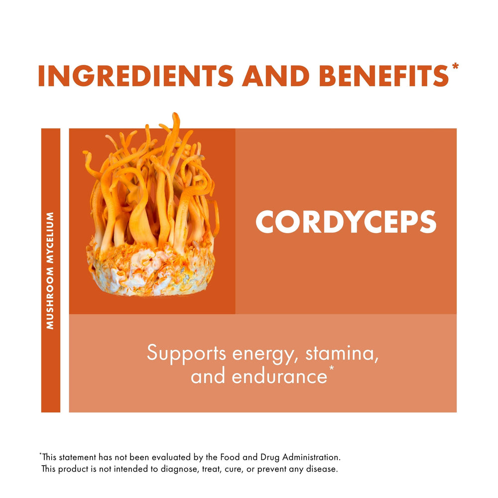 Host Defense cordyceps capsules daily dosage emphasizes two capsules per serving.