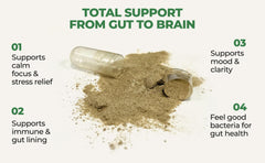 CoreHealth image showing Ashwagandha and L-Theanine icons for focus support