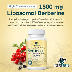 Corpofuerte Liposomal Berberine 1500mg diagram emphasizes cellular balance benefits.