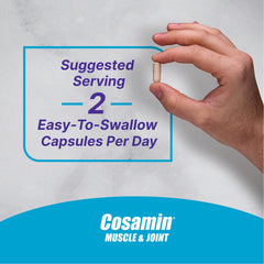 Cosamin Nutramax boswellia-olive-extract blend overview for joint health support.