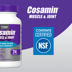 Cosamin Nutramax eggshell-membrane 500mg panel highlighting recovery-friendly formula.