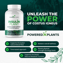 Costus igneus leaf powder closeup emphasizes natural herb content.