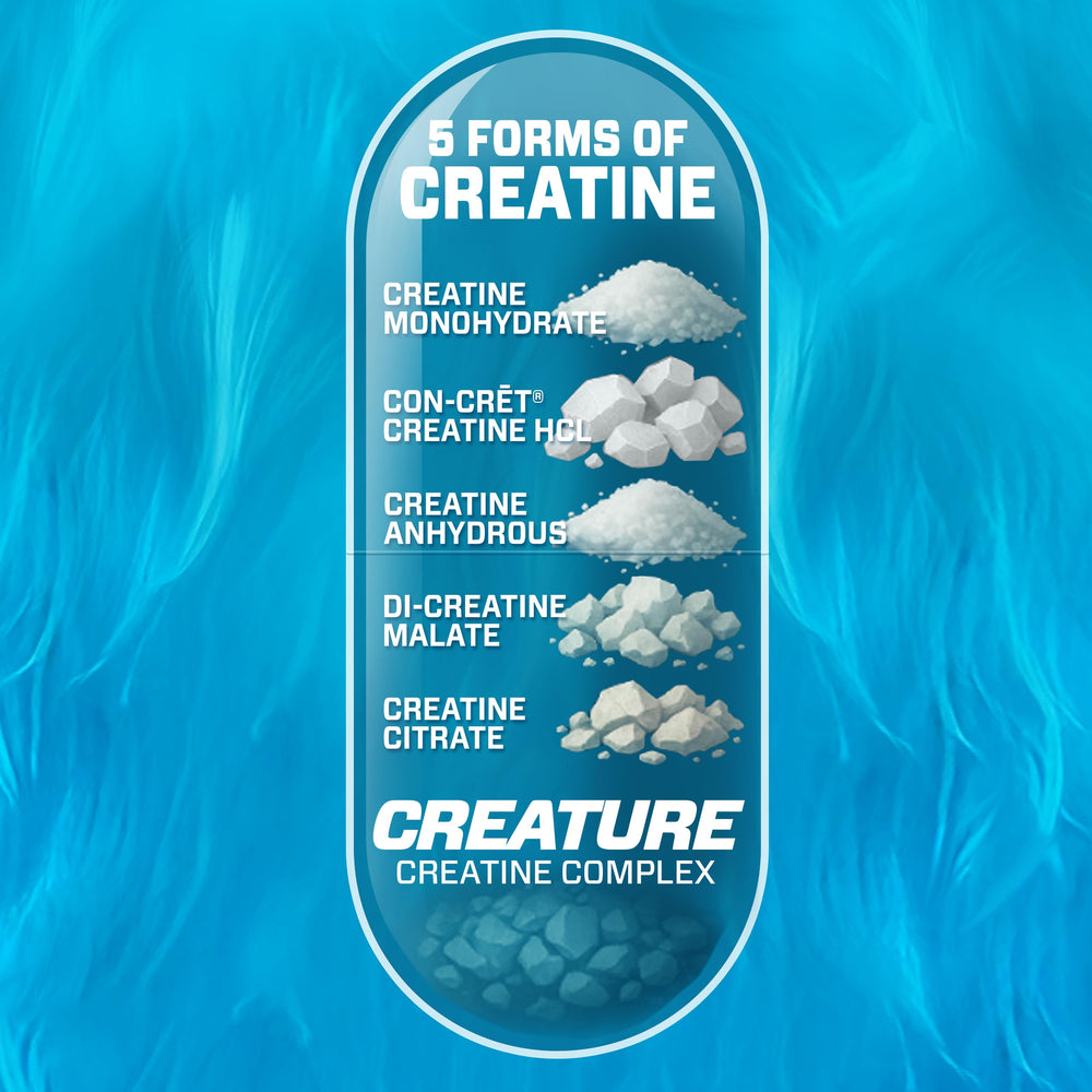 CREATURE Creatine Monohydrate capsules close-up for strength and steady energy