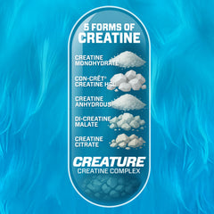 CREATURE Creatine Monohydrate capsules close-up for strength and steady energy