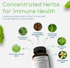 Cryptolepis sanguinolenta leaf signals natural immunity ingredient
