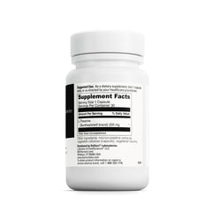 DaVinci L-Theanine capsules close-up for focused moments.
