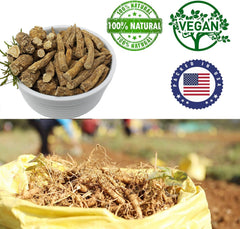 DABC OAK LAND ginseng slices steeping for tea, highlighting versatility