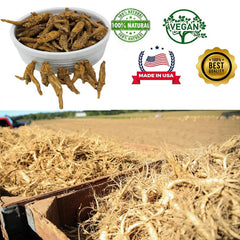 DABC OAK LAND ginseng slices ready to eat for convenient energy support.