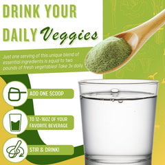 Daily Health Ultimate Greens MSM powder close-up highlights natural greens and MSM.