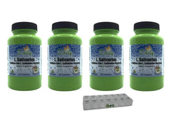 Back nutrition label on Daily Manufacturing L-Salivarius bottle detailing ingredients