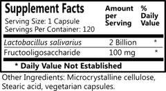 Close-up of Daily Manufacturing L-Salivarius capsules showing delayed-release coating