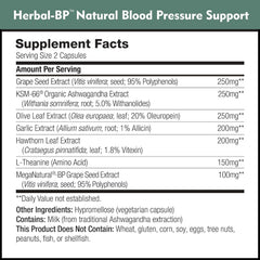 DailyNutra grape seed extract ingredient signaling antioxidant support