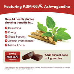 DailyNutra KSM-66 Gummies closeup highlights smooth texture for quick daily use.