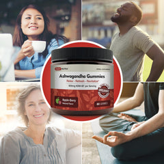 DailyNutra KSM-66 Gummies made in the USA with purity focus.