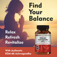 DailyNutra KSM-66 capsules close-up highlights 600 mg potency for consistency.