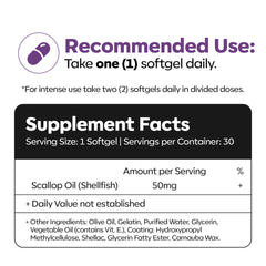Daiwa Hokkaido Scallop Oil plasmalogen graphic explains brain-focused nutrition.