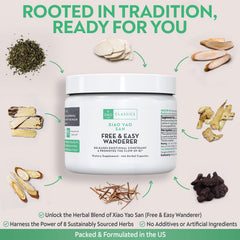 DAO Labs Xiao Yao San herbal capsules closeup for daily balance.