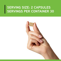 DAVINCI green coffee bean extract highlight for metabolism support.