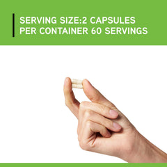 DAVINCI Behavior Balance-DMG enteric coating cross-section suggests protective delivery