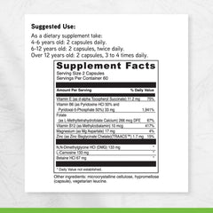 DAVINCI Behavior Balance-DMG ingredients list highlighting core nutrients
