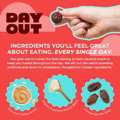 Day Out plant-based protein ingredients emphasize quality and balanced nutrition