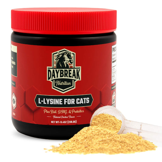 Daybreak Nutrition L-Lysine powder bottle for cats supports immune balance when mixed with meals.