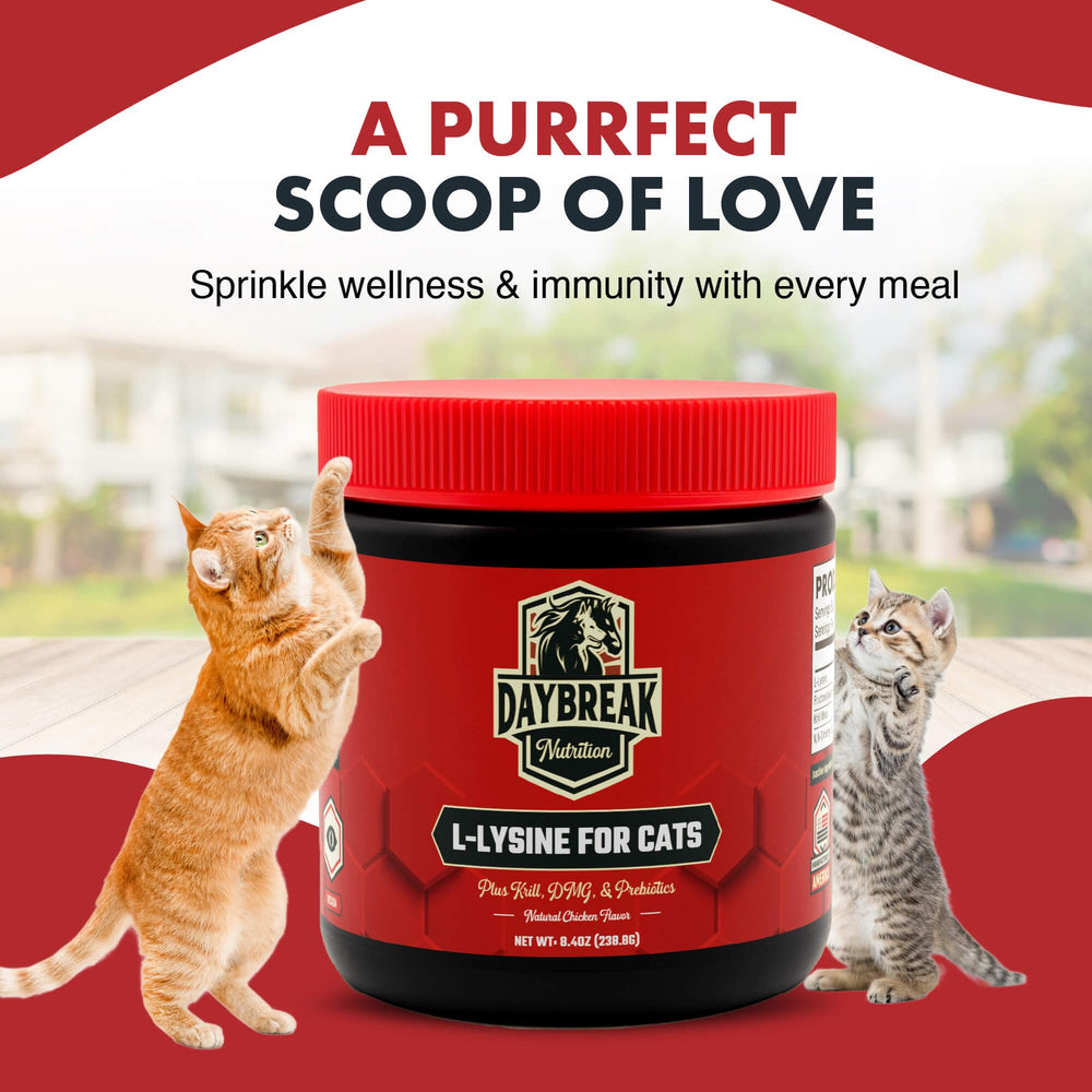 Daybreak Nutrition lysine powder packaging highlights 120 servings and clear labeling.
