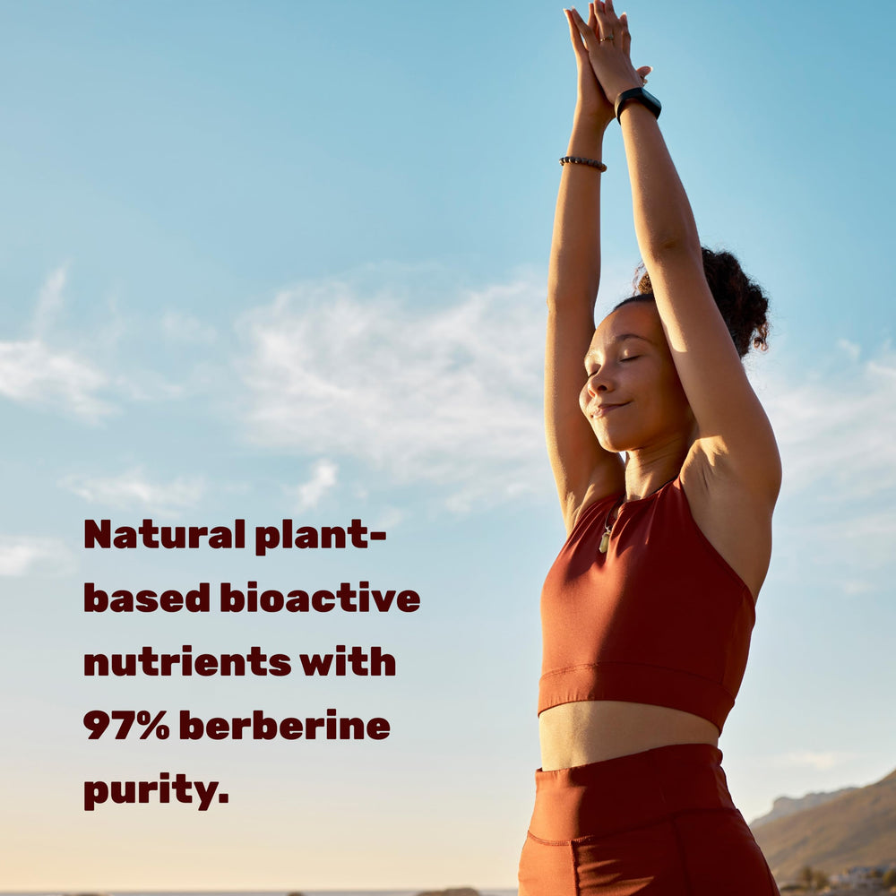 DEAL SUPPLEMENT Berberine Max ingredients label highlights 97% berberine purity